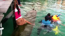 Technique impressionnante d'une petite fille pour sauver cette barque coulée