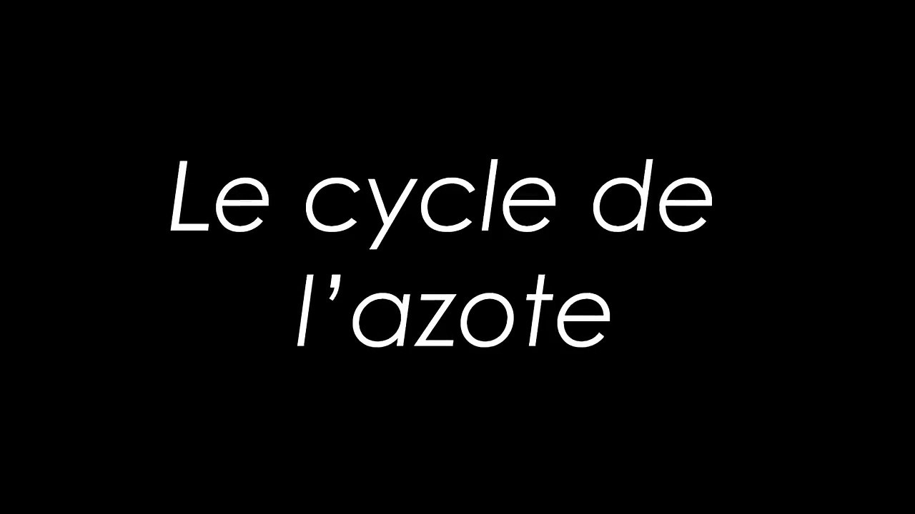 Le cycle de l'azote (Reef-Cif)