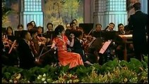 Erhu Concerto No.2 - Nostalgic Dreams of Beijing 追梦京华 - 1st Mov. - Yu Hongmei 于红梅