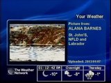 The Weather Network Local Forecasts - 10 January 2013