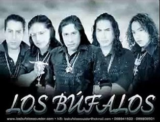 Los bufalos - Leodan