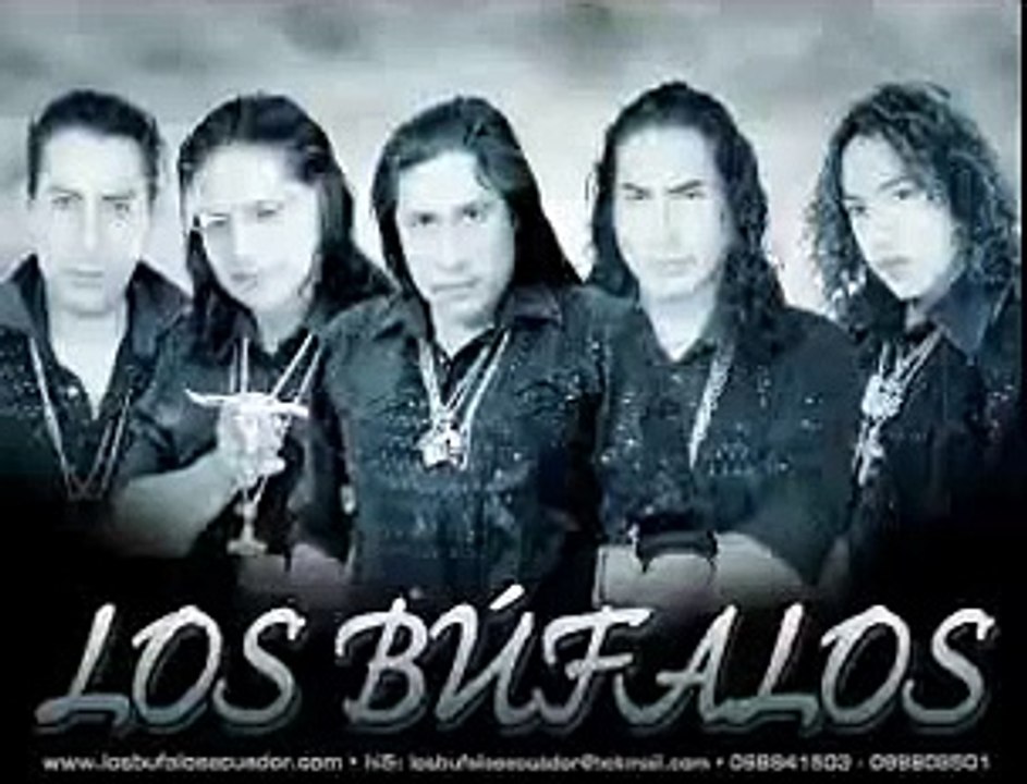 Los bufalos - Leodan