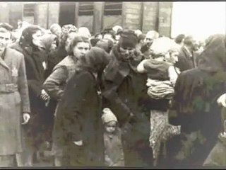 Never Again Wu-Tang killa Bees