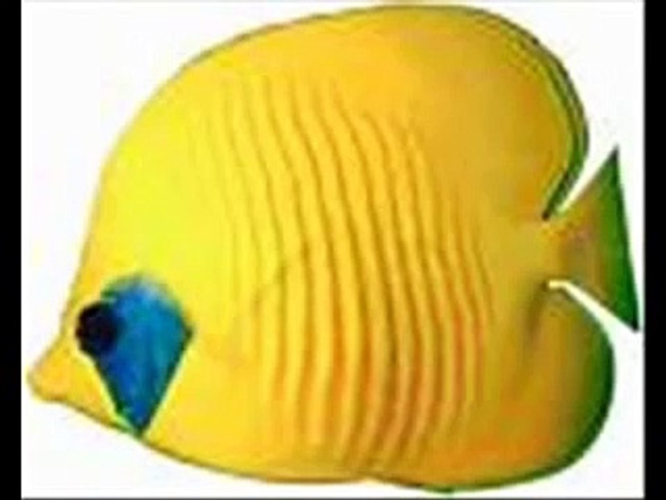 I'm a little yellow fish =)