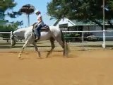 Grey Goose Only Aqha hus horse for sale