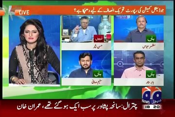 Only mad _ blind people can say elections 2013 were transparent_- Hasan Nisar