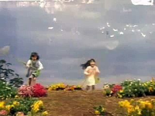 花嫁衣裳は誰が着るOP