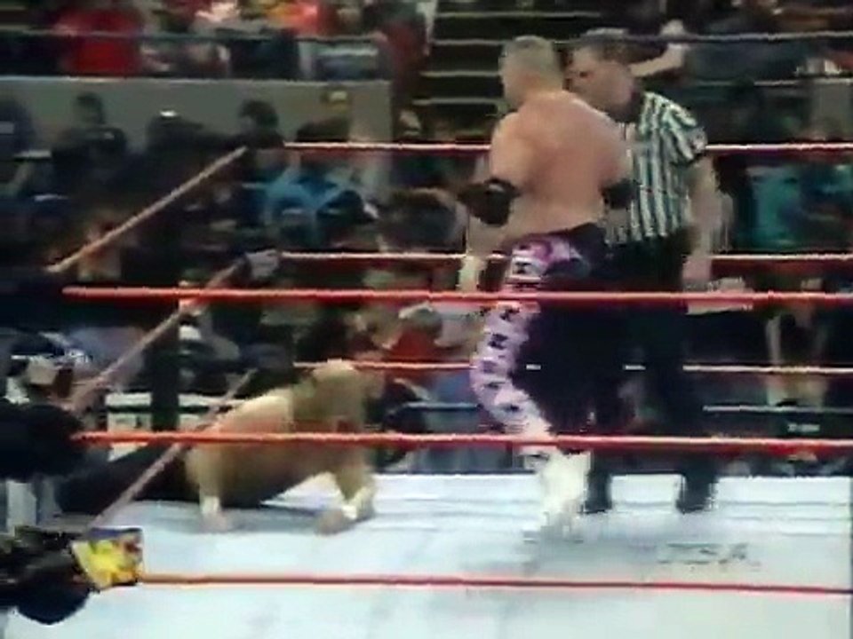 Hunter Hearst Helmsley /w Shawn Michaels, Chyna vs. Jim Neidhart