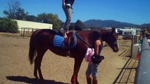 Heavenly Horse Haven 2012 Fundraiser - Girls Just Wanna Have Fun