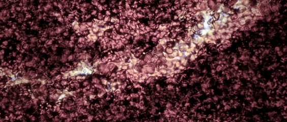 Closer to God (2014) - Trailer (Full HD / 1080p)