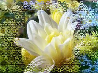 Que lindo es mi Cristo - Manuel Bonilla