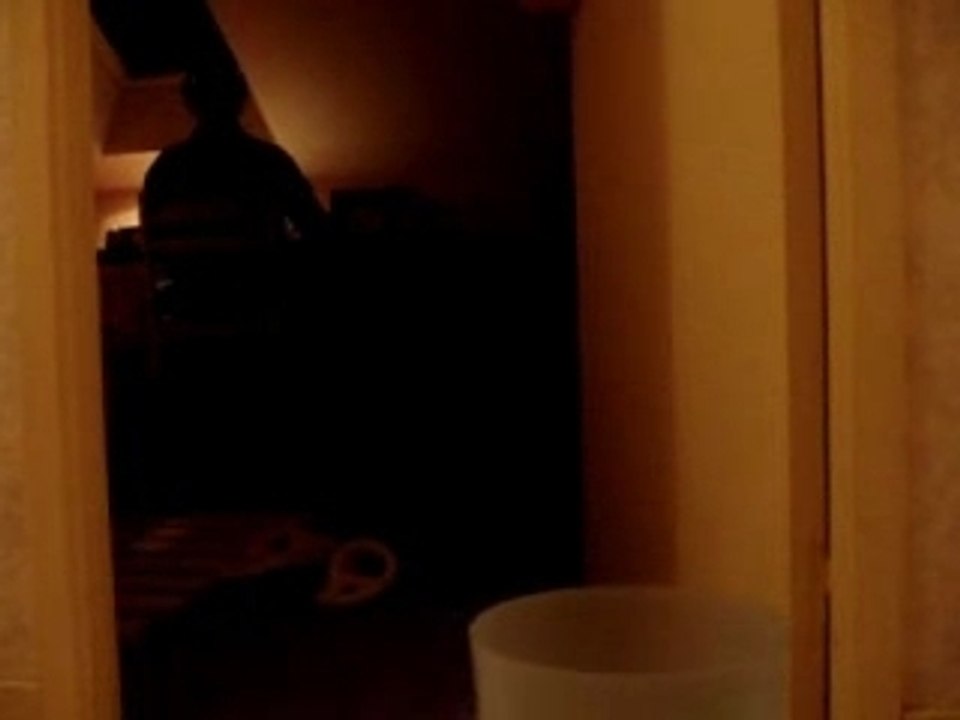 Lancers de boulettes !