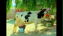 اغنية اطفال في مزرعتنا Teach Kids Arabic- Song About Farm Animals