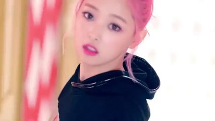 SONAMOO(소나무) _ CUSHION