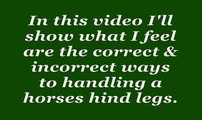 Here's the skinny on handling a horses hind legs