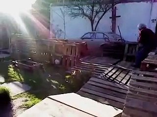 extraño ser volador EN VILLA ALEMANA , CHILE.