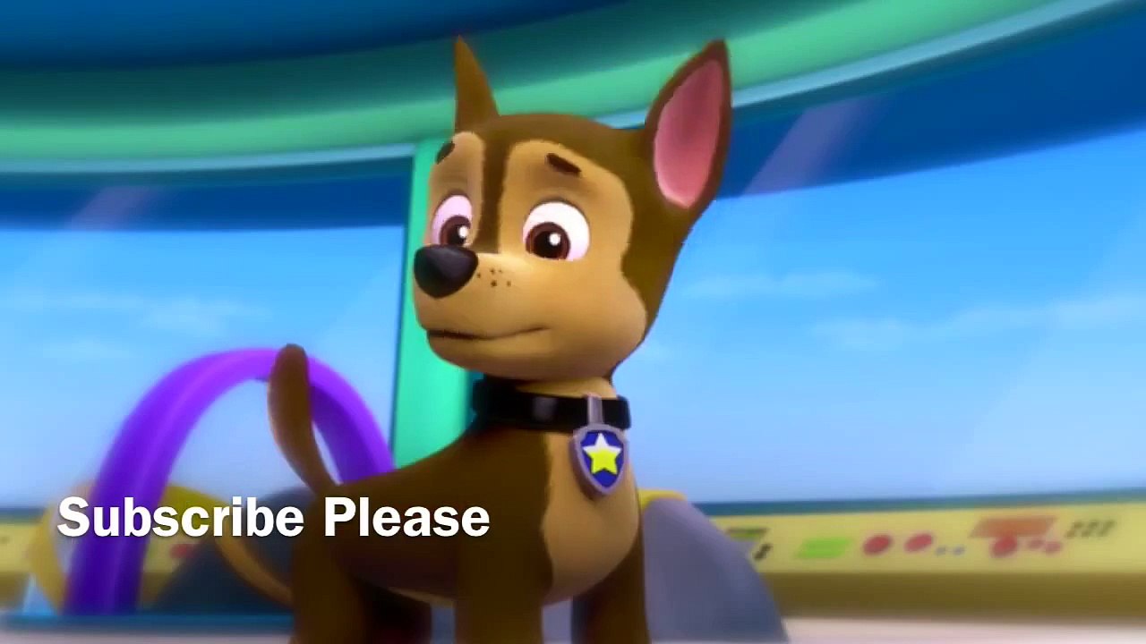 Paw Patrol Puppy Dance Funny Clip 1