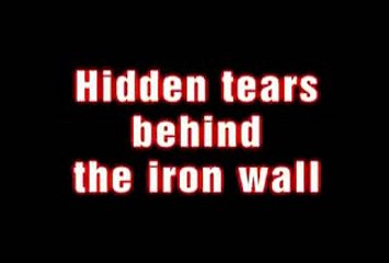 Kuh weint im Schlachthaus, Sekunden bevor sie geschlachtet wird