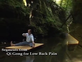 Qi Gong for Low Back Pain with Lee Holden
