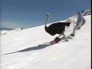 JR-SKI vol.2 -RE BORN- SKI HERO (2003)