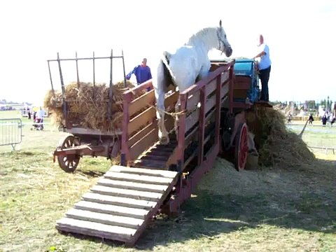 battage moisson avec cheval sur plan incliné St Jans Cappel Nord 2009