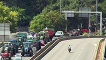 Agricultores franceses bloqueiam estradas