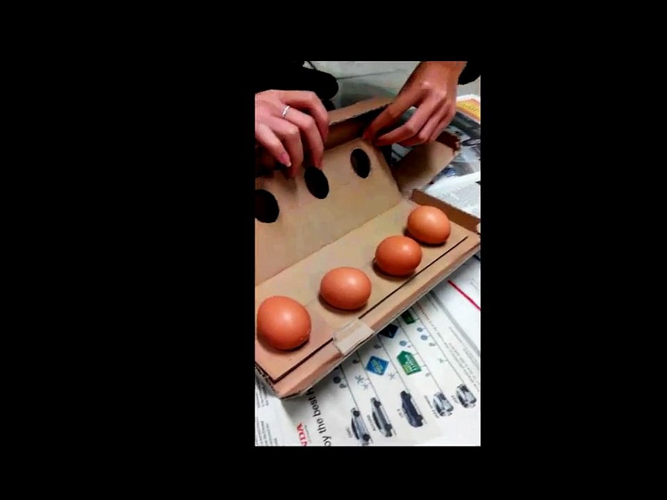Eggs Drop Project