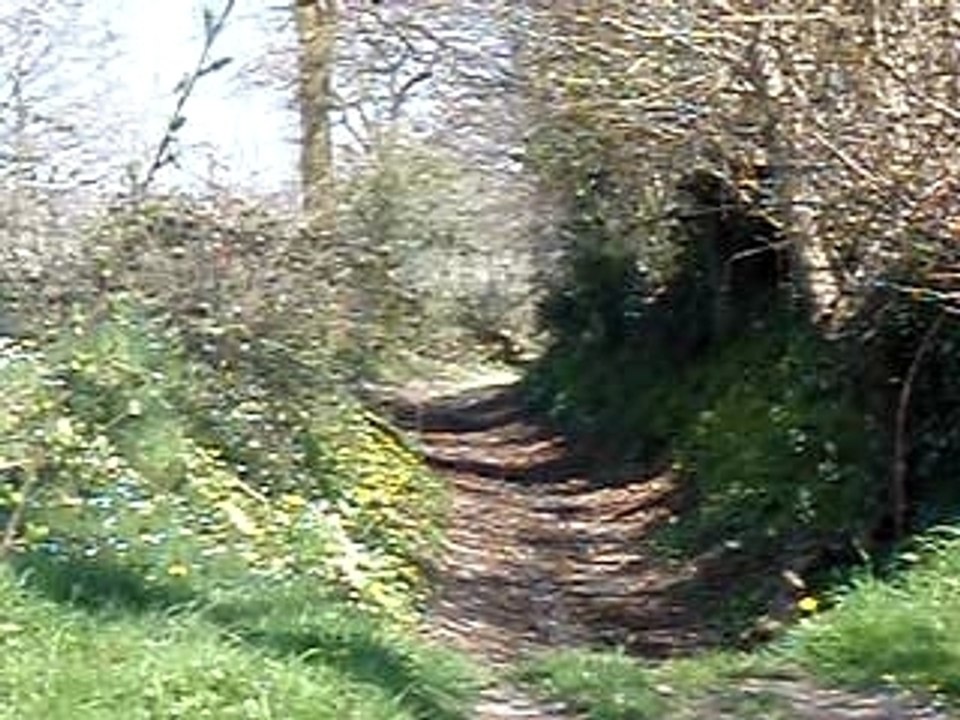 MOTO GRANVILLE CROSS 125 ENDURO 15