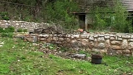 1-The First World War - To Arms (1914) [ep. 1 10]   220.ro.flv