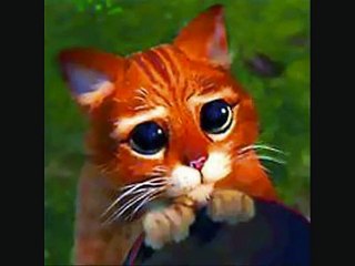 Te Sigo Esperando Yaguaru