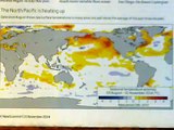 Global Warming Foils Forecast El Nino Drought..!