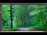 Beginner shortcuts for Photoshop CC/CS6 - Windows