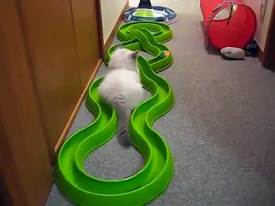 Turbo Track (ターボ トラック) ロングコース