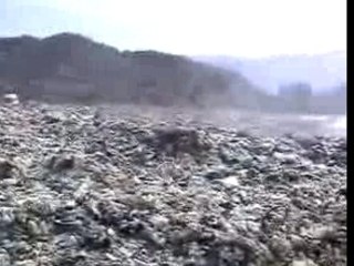 DOCUMENTARY CLOUDS OF SMOKE