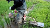 modern agricultural technologies rice