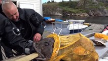 في روسيا سمكة غريبة تلتهم يد الصياد كاملة