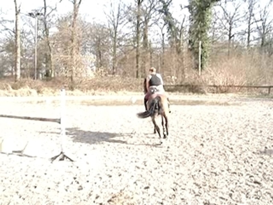 Pompon moi galop rapide
