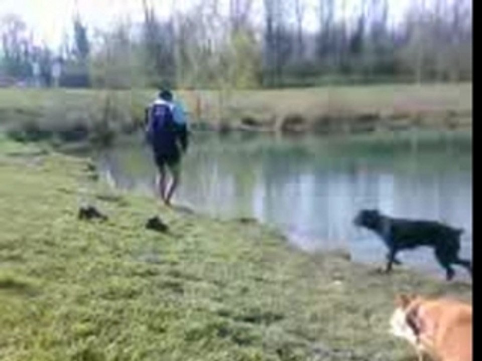 VID032