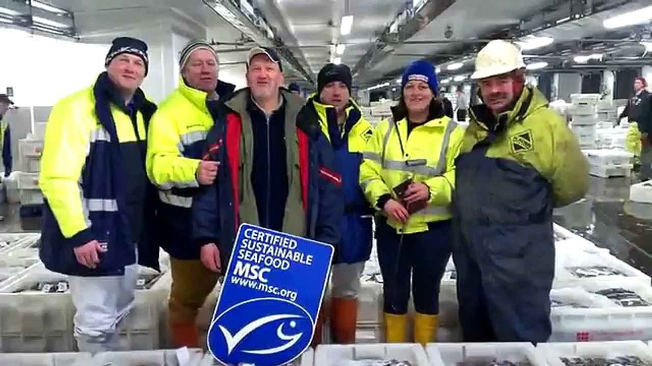 The 12 Days of Fishmas - Day 11 Peterhead Fish Market