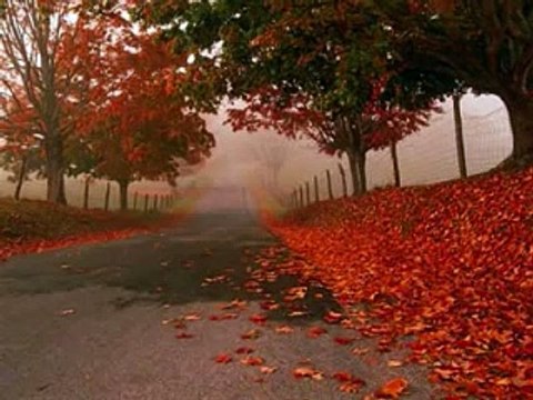 Hossein Panahi حسين پناهی