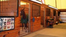 Equine / Horse Property for Sale with Indoor and Outdoor Arenas