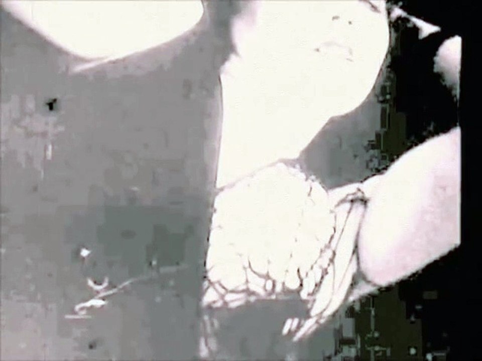 ✞✞✞☠DJ4AM☠✞✞✞  Deceitful featuring Octavius (Sex, Darwinsinism & The Jungles Of Hades)