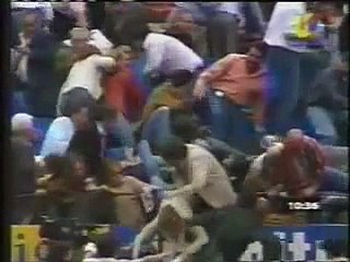 toro pajarito toro saltarin pajarito