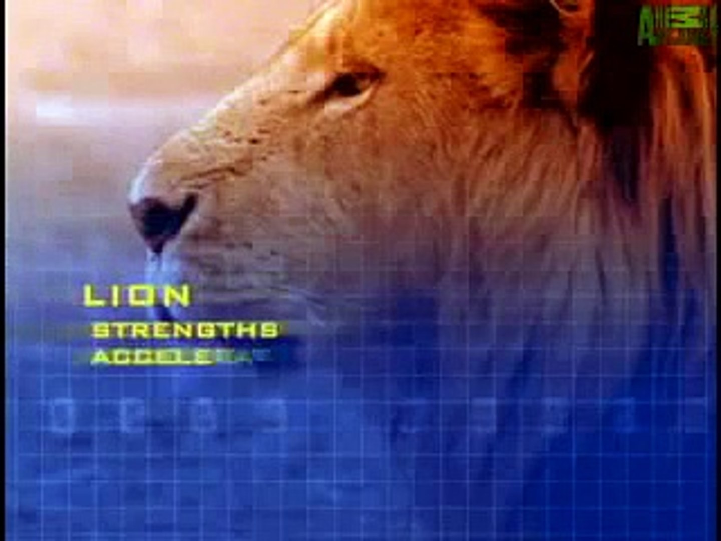 ⁣Animal Planet   Animal Face Off Lion vs  Croc