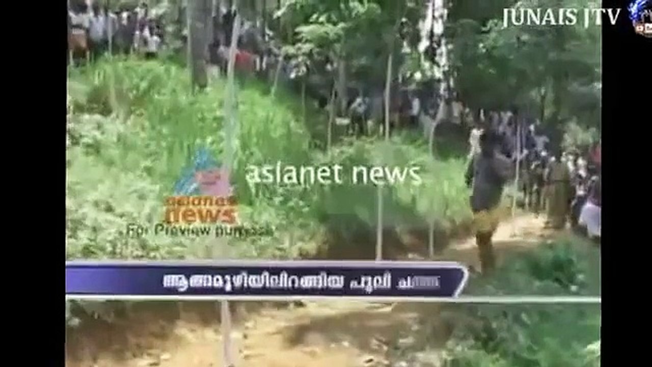 Leopard attack Human in 2015