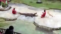Crocodile attacks human Wild Animal Videos