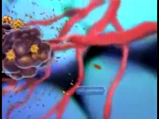 Tullio Simoncini - L'ipotesi fungina