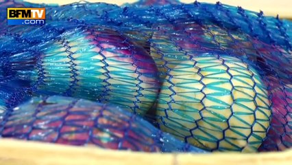 Alimentation: le circuit-court a la cote dans les cantines de Rouen