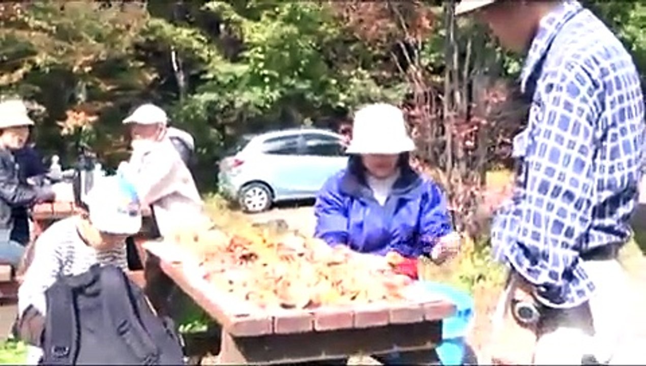 信州小諸　天狗温泉浅間山荘のきのこ狩りツアー
