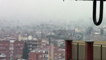 Nevades 2/2/2012 (Sant Cugat del Vallès) 11:30h